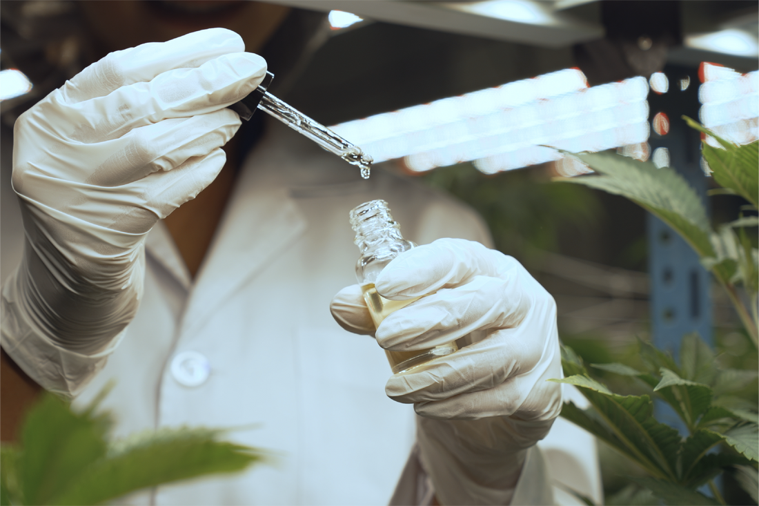 CBD Benefits Explained by Science